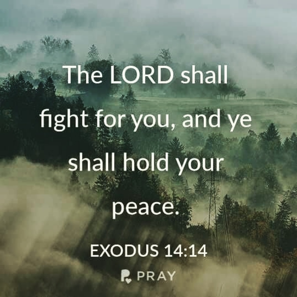 Oh, Give Thanks Unto The Lord... - Picture 2 of 16